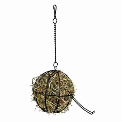 Универсальная посуда для животных Trixie Кормушка-шар для грызунов 12 см (4011905061054) Винница