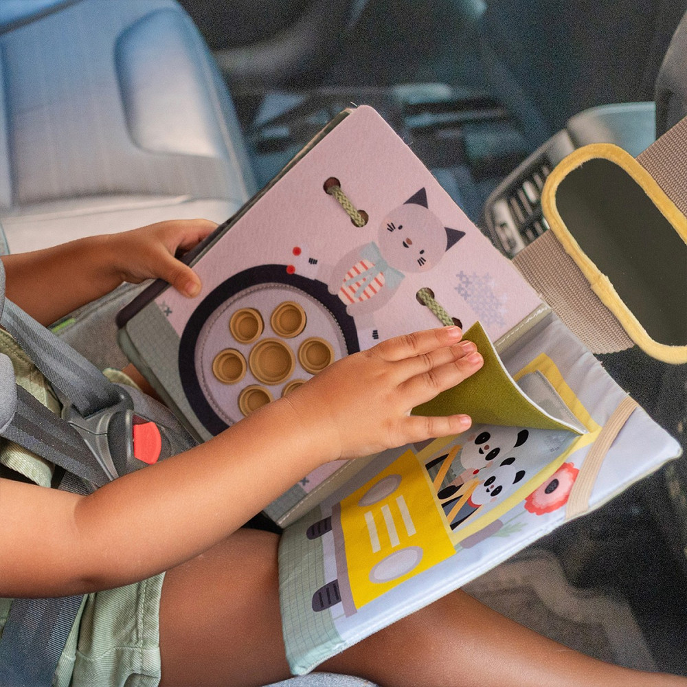 Центр, що розвиває, для автомобіля – Книжка мандрівника Днепр - изображение 8