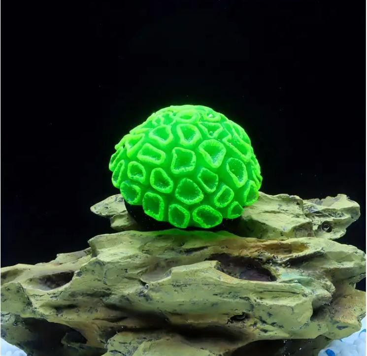 Декорація для акваріума - Корал Київ - фото 1