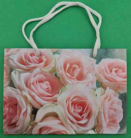 Пакет бумажный малый горизонтальный 11/18/5(арт М027) (12 шт) Харьков