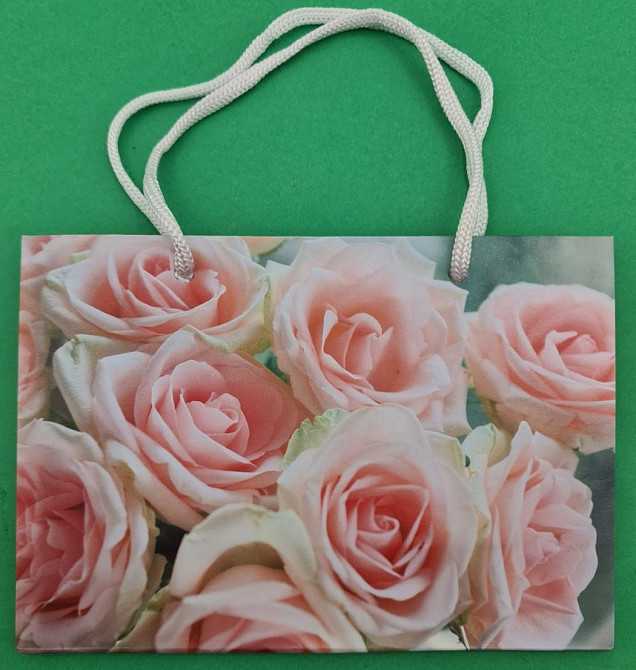 Пакет паперовий малий горизонтальний 11/18/5 (арт М027) (12 шт.) Харків - фото 2