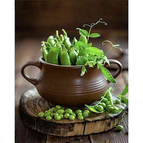 Алмазна мозаїка Зелений горошок" HEG86042 30х40 см Вінниця