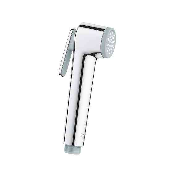 Лейка для гигиенического душа Grohe Tempesta-F Trigger Spray 30 27512001 Киев