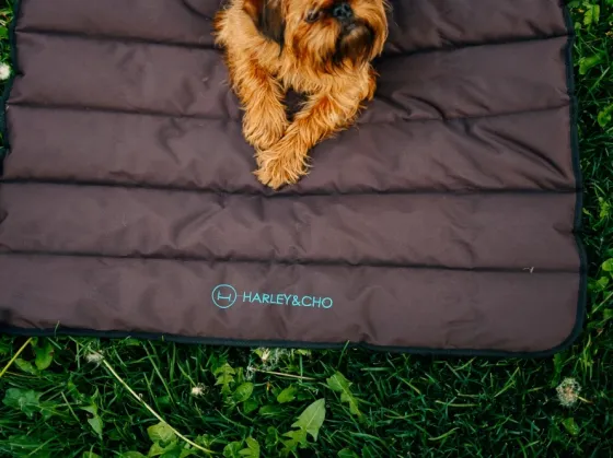 Килимок лежак для собак на прогулянці Travel Roll Up Harley and Cho Brown Одеса