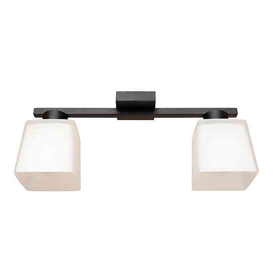 Люстра потолочная на два плафона MSK Electric Sakura под лампы Е27 черная NL 16510-2 BK Одесса