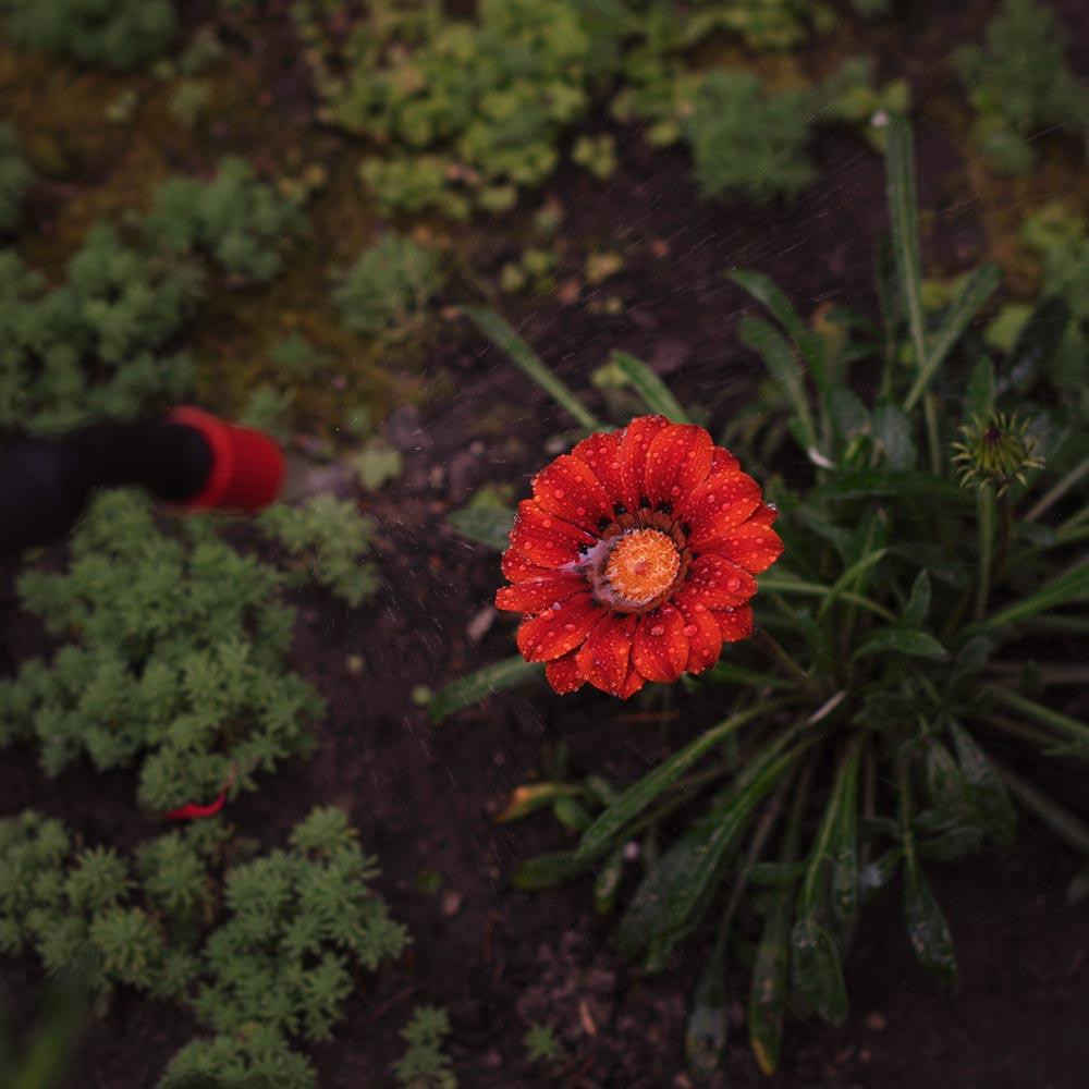 Опрыскиватель пневматический 8л FLORA (5003234) Киев - изображение 8