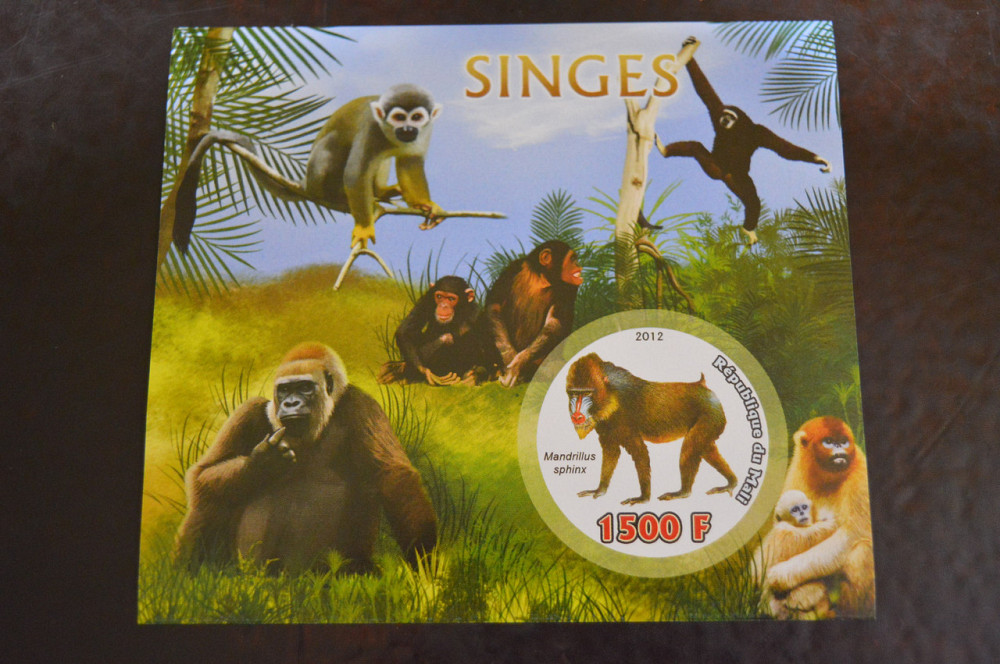 Мали. Фауна. Блок. 2014 год (А-20) Полтава - изображение 1