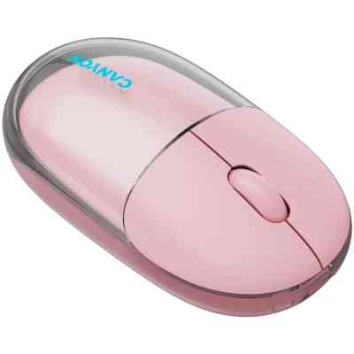 Мышка Canyon OnClick 24 Wireless Pink (CNS-CMSW24P) Винница