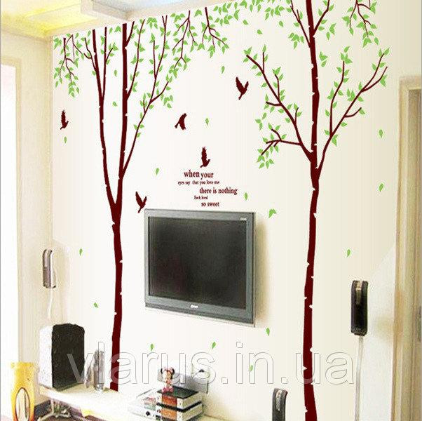Наклейка на стіну Два дерева Київ - фото 4