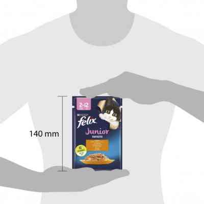 Вологий корм для кішок Purina Felix Fantastic Junior з куркою в желе 85 г (7613039832189) Вінниця