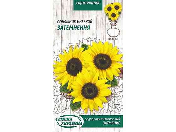 Соняшник низький Затьмарення (лимонно-жовтий) ОД 1 г (10 пачок) ТМ СЕМЕНА УКРАЇНИ Київ