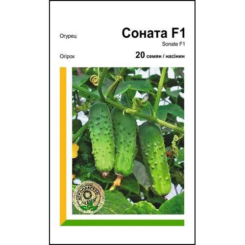 Семена огурца Соната F1 20 сем., Rijk Zwaan, Голландия Винница - изображение 1