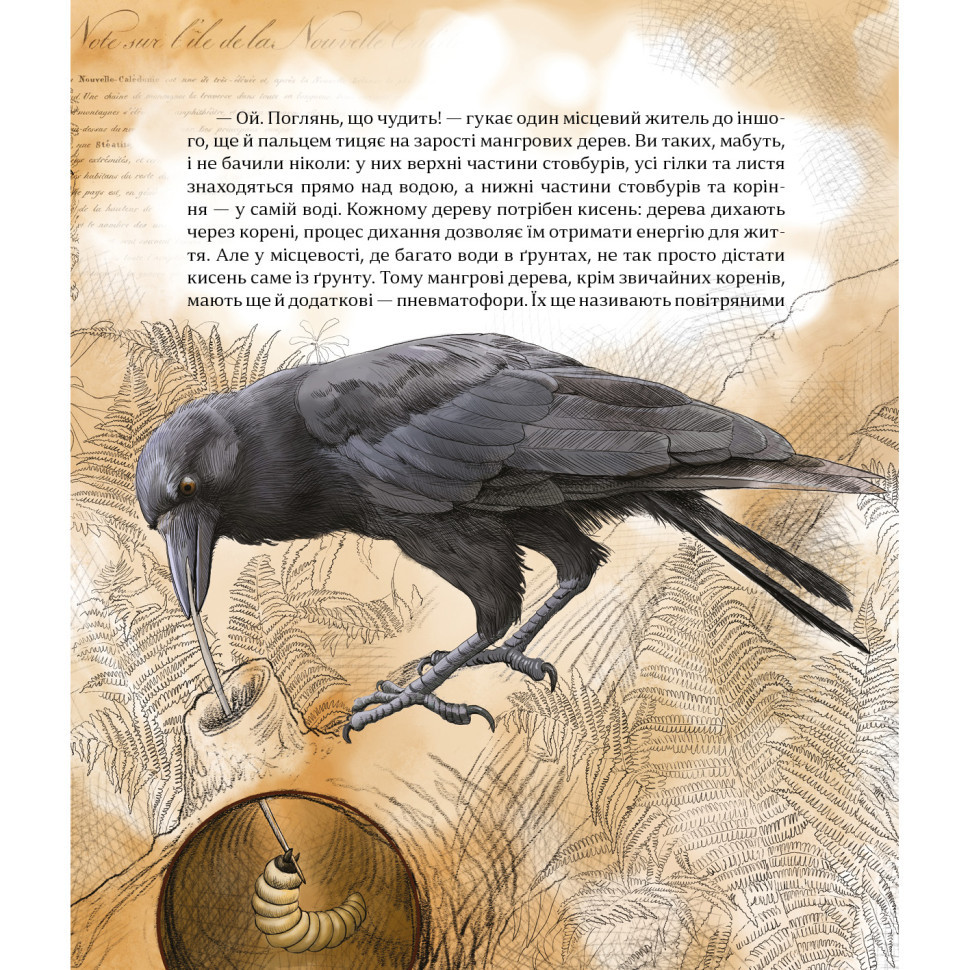 Дитяча книжка "Як зрозуміти тварин" 452155 серія "Відкривай" Вінниця - фото 4