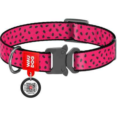 Нашийник для тварин WAUDOG Nylon "Кавун" металічна пряжка-фастекс L (5148) Вінниця