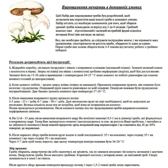 Грибний подарунковий набір для вирощування Білих печериць ( 5 коробок ) Харків
