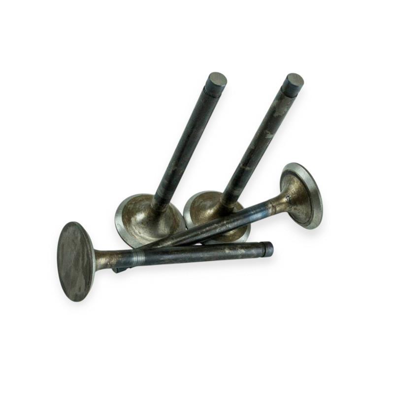 Клапана 2410 випуск 4шт амз (еліт-під газ) газ Мукачево - фото 1