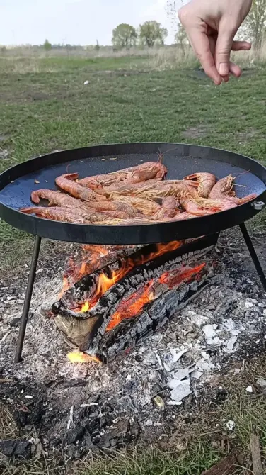 Сковорода с диска, бороны для пикника жарки мангал 30 см. Киев - изображение 3