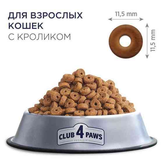 Club 4 Paws (Полуб 4 Лапи) Premium Adult Cat Rabbit сухий корм із кроликом для дорослих котів Запоріжжя