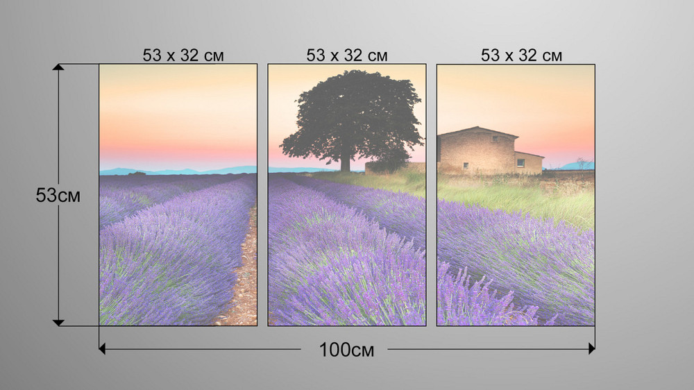 Модульная картина Дом Лаванда  (53x100см)  Art-50_3А Киев - изображение 3