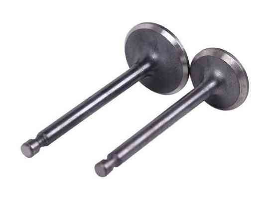 Клапаны, к-т: 2 шт. ( 2)мотоблок 178F Мукачево