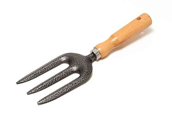 Вила садові MASTERTOOL 265×80 мм з дерев'яною ручкою 14-6192 Коломия