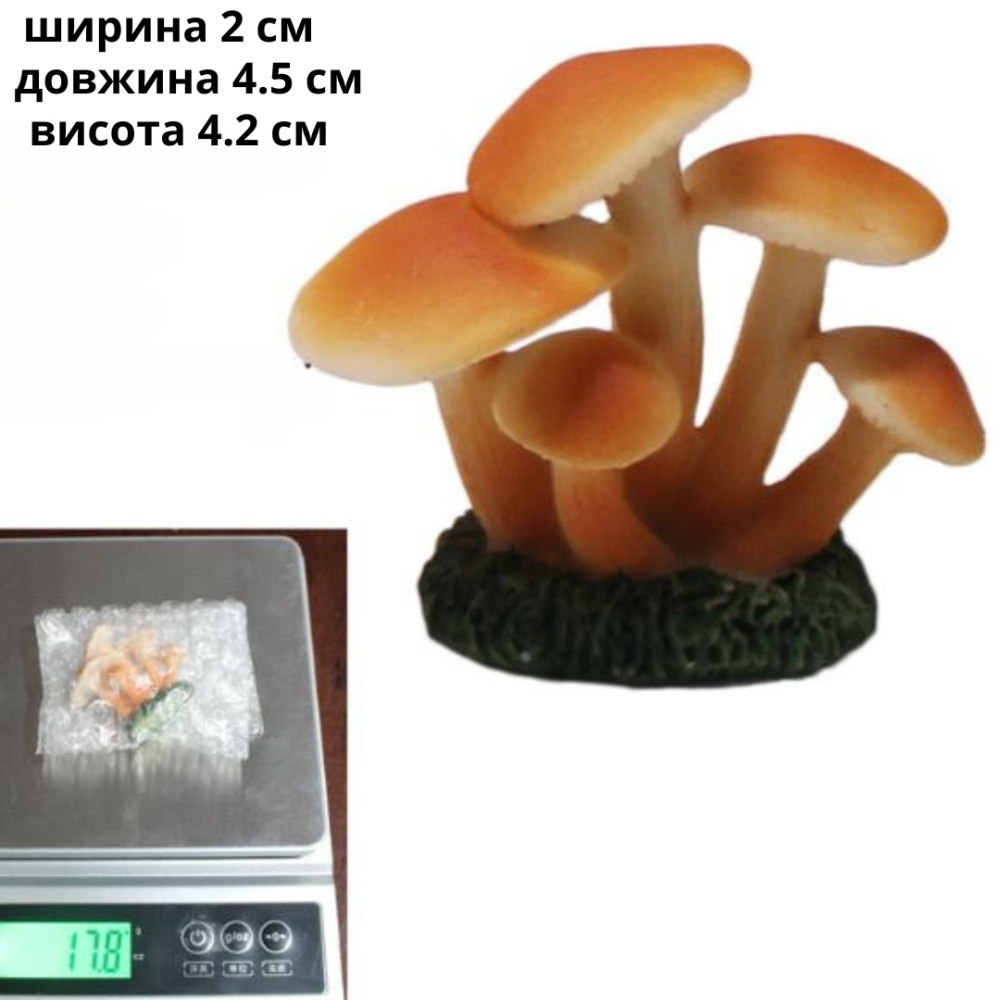 Набор Грибов 3 шт для миниатюры, мини-сада, флорариума, моссариума, микроландшафта, песочного стола Одесса - изображение 5