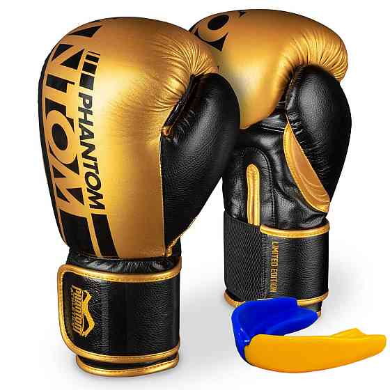 Боксерські рукавиці Phantom APEX Elastic Gold 16 унцій (капа в подарунок) Кам'янське