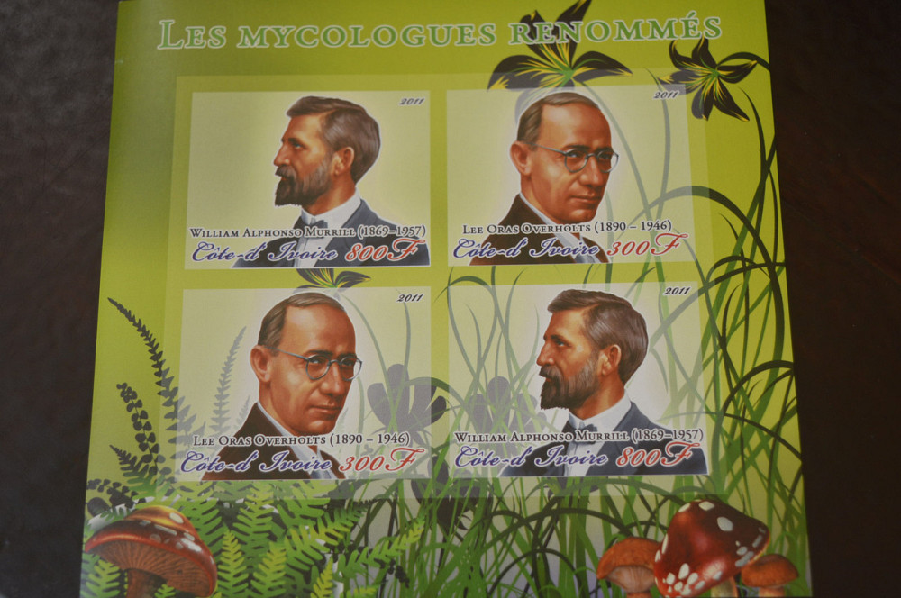 Марки. Особистості. Блок. 2011 рік (А-15) Полтава - фото 1