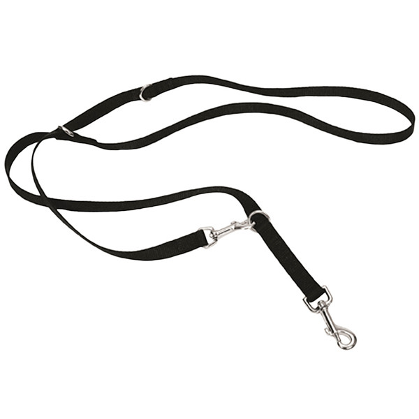 Coastal Multi-Function Dog Leash КОСТАЛ ПЕРЕСТІБКА універсальний повідець для собак Київ - фото 1