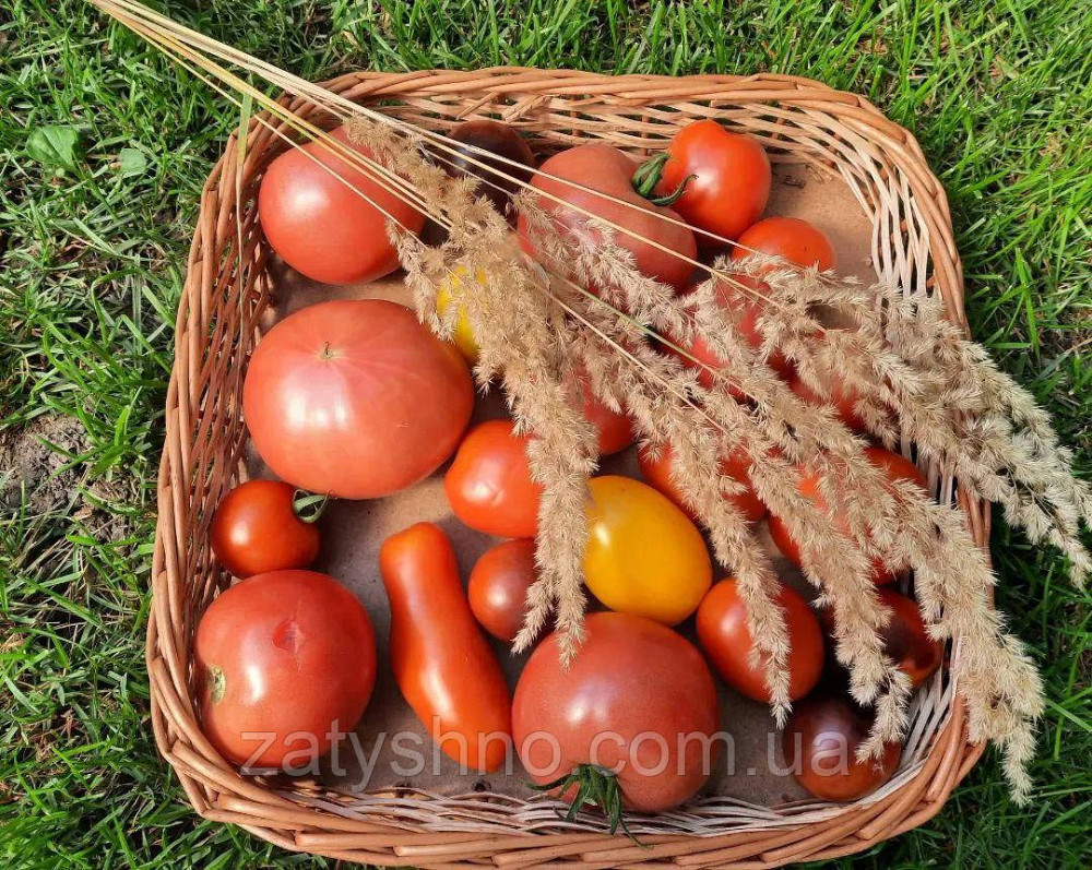 Лоток плетеный из лозы для хранения фруктов и овощей Киев - изображение 6