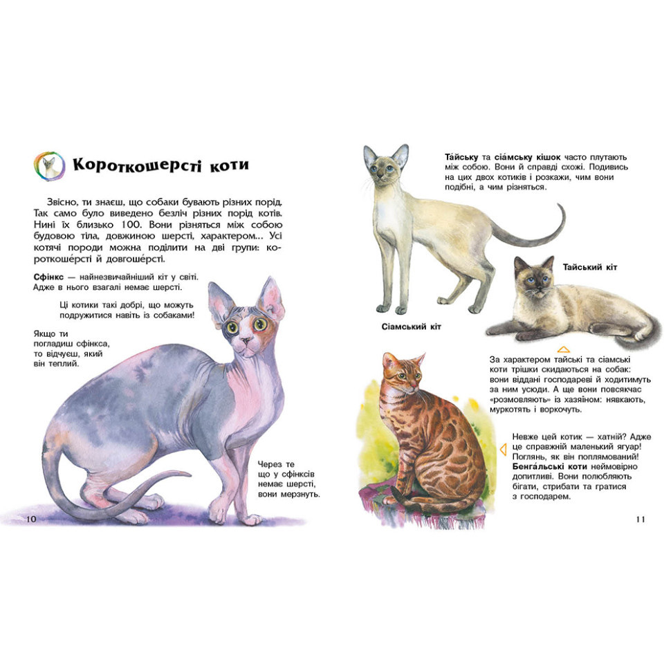 Энциклопедия дошкольника 