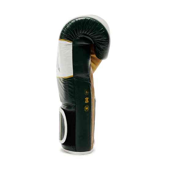 Боксерські рукавички Leone Shock X Green 12 ун. Кам'янське