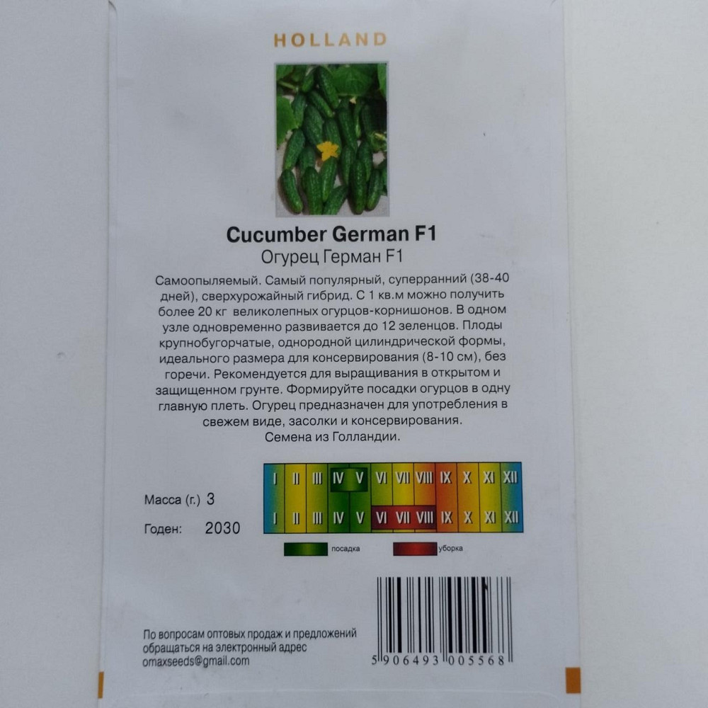 Огірок "Герман F1" 3 гр Харків - фото 2