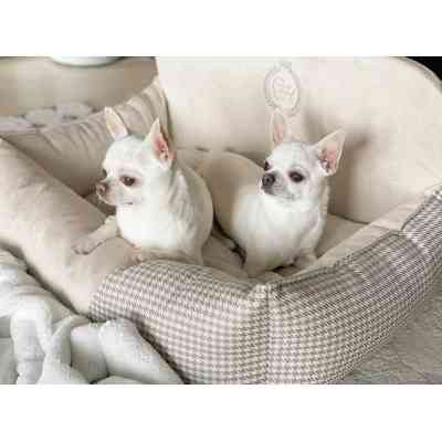 Автомобільне крісло для тварин Chloe&apos;s Home Berlin подвійне 68х48 см бежеве (CLH4913) Вінниця