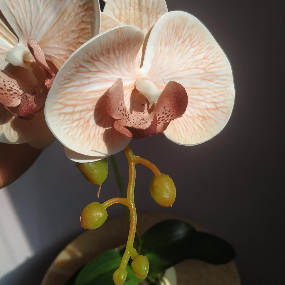 Штучна латексна орхідея VIP у бежевому керамічному кашпо на одну пудрову гілку. Дніпро - фото 7