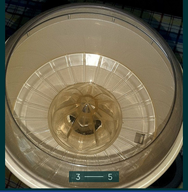 Соковыжималка для цитрусовых: MACAP P202. Киев - изображение 3