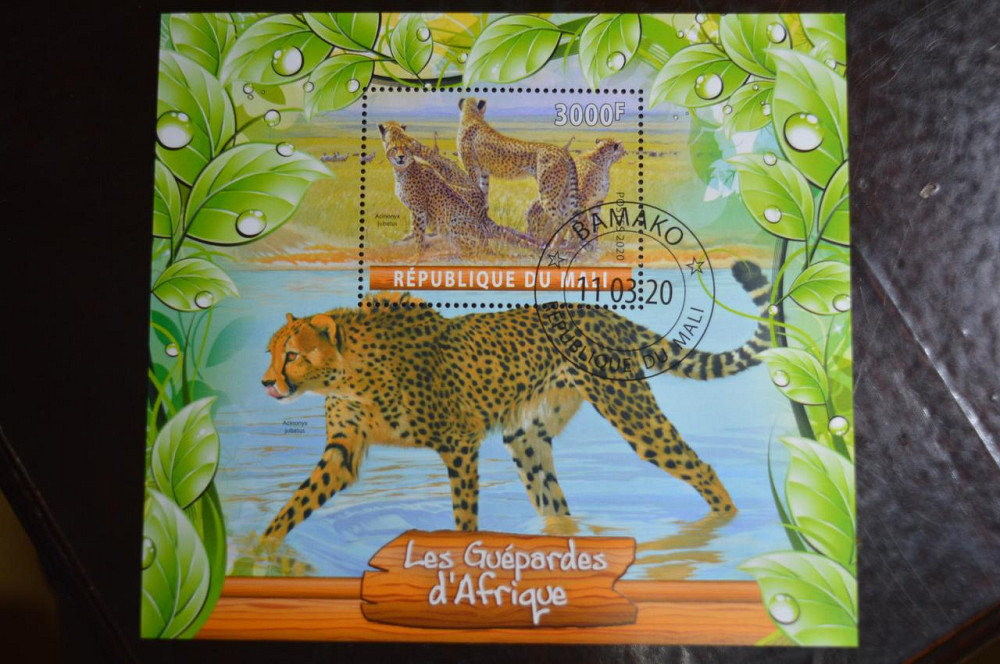 Мали. Марки. Фауна. Блок. 2020 год (В-1) Полтава - изображение 1