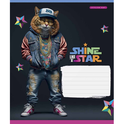 Тетрадь Школярик Dance star 18 листов линия (018-3276L) Винница - изображение 1