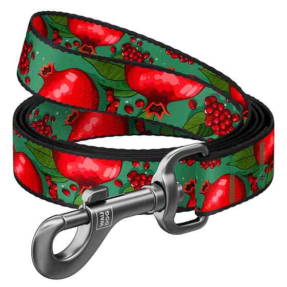 Повідець для собак нейлоновий WAUDOG Nylon, малюнок "Гранати", S, Ш 15 мм, Дов 200 см Коломыя