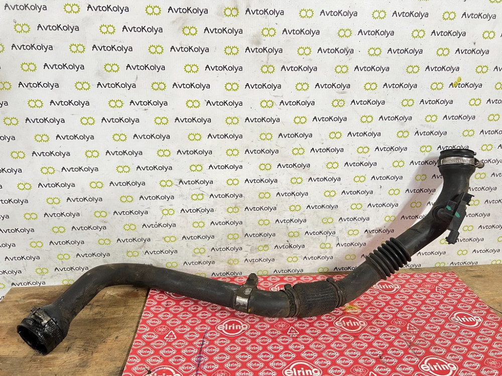 Патрубок інтеркулера Renault Kangoo 1.5 dci 2008-2021 (8200874705) Ковель - фото 1