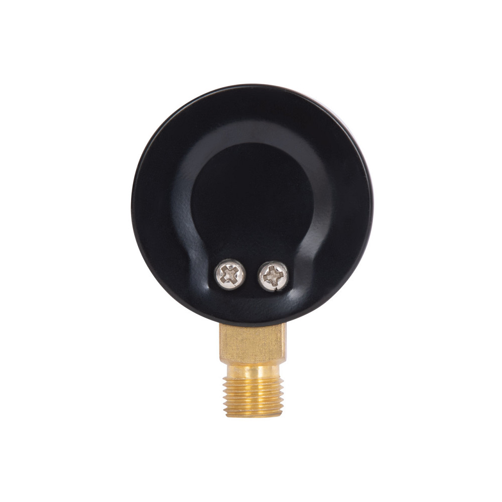 Манометр Thermo Alliance Standart 50 мм 1/4", нижнє під'єднання SD1706B Київ - фото 12