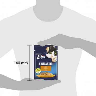 Влажный корм для кошек Purina Felix Fantastic с курицей в желе 85 г (7613039788097) Винница