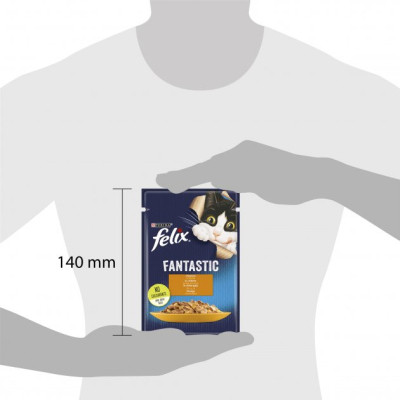 Влажный корм для кошек Purina Felix Fantastic с курицей в желе 85 г (7613039788097) Винница - изображение 3