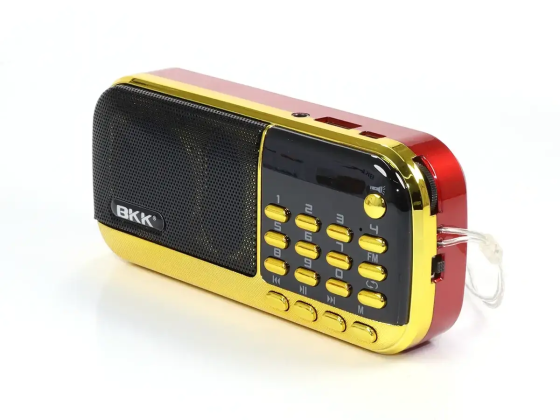 Портативний радіоприймач BKK 12 Вт з USB/MP3, AUX 3.5 мм, micro-USB DC5V, IPX5, акумулятор 10000 мАг Одеса