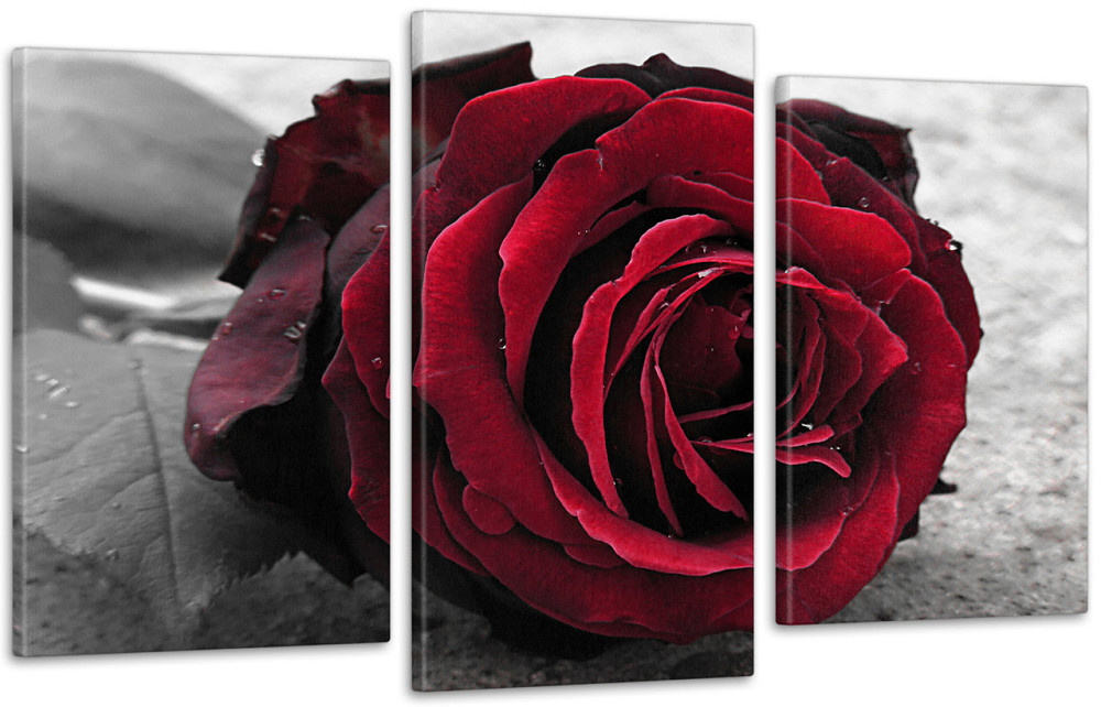 Модульна картина Троянда Art-32_3 Київ - фото 1