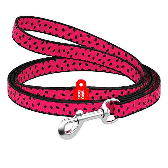 Повідець для собак нейлоновий WAUDOG Nylon, малюнок "Кавун", Ш 10 мм, Дов 122 см Київ