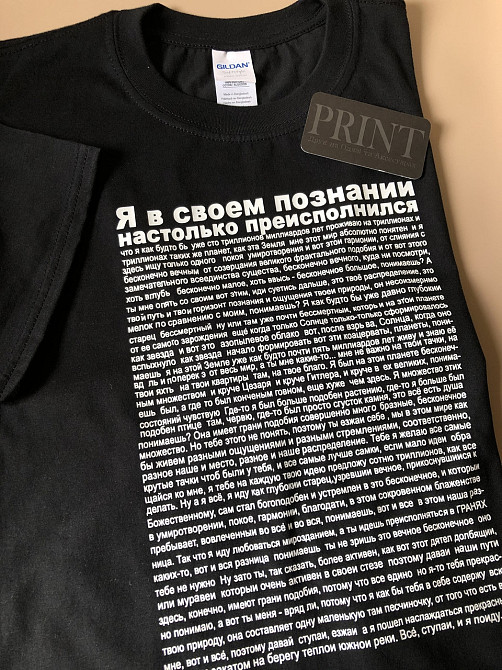 Футболка преміум Чоловіча/Жіноча ІДУХИЙ ДО РЕКЕ Чернівці - фото 1