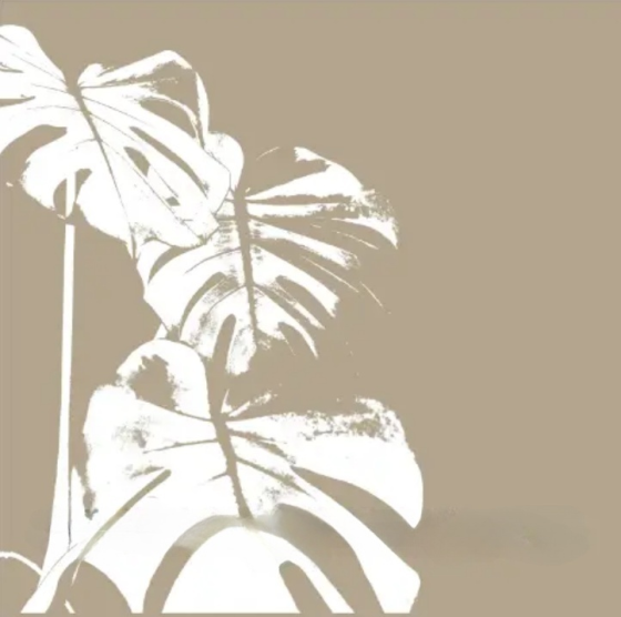 Шторка для ванної 180*180 см текстиль фотопринт коричневий PHP-MONSTERA Даріана Житомир