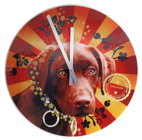 Настінний годинник " Mystic Animals Dog" D=40см скло Рівне