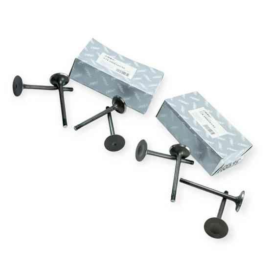 Клапана двигательevotech 2.7 впуск выпуск газель-Next Мукачево